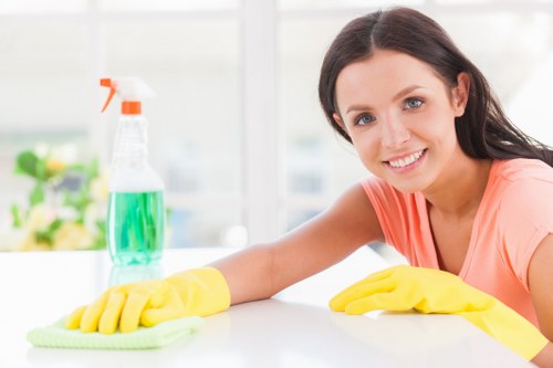 Professional rug cleaning in Kenton for a bright living room rug