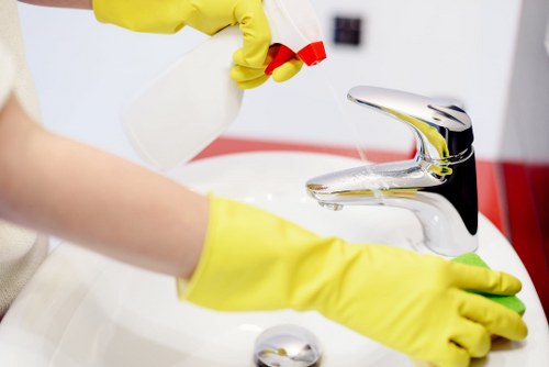 Professional pet stain odour removal in Kenton for carpet cleaning