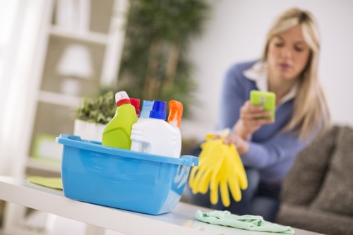 Deep cleaning methods for pet odour removal in a Kenton home