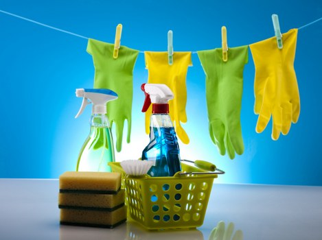 Carpet cleaning service for homes and businesses in Kenton